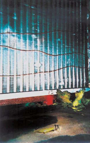 Image_0005.gif