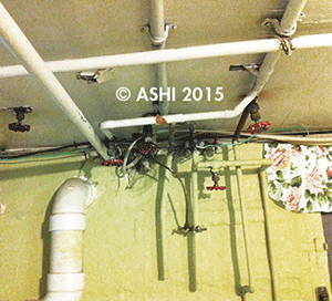 JoshCreeps_Plumbing.gif