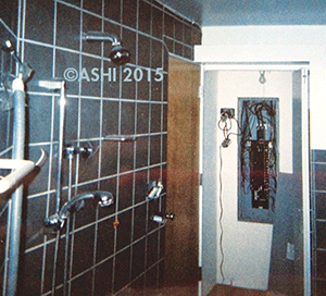 SteveHierShower.gif